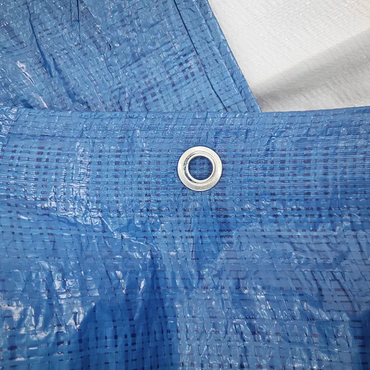 60G Blue Pe Tarpaulin