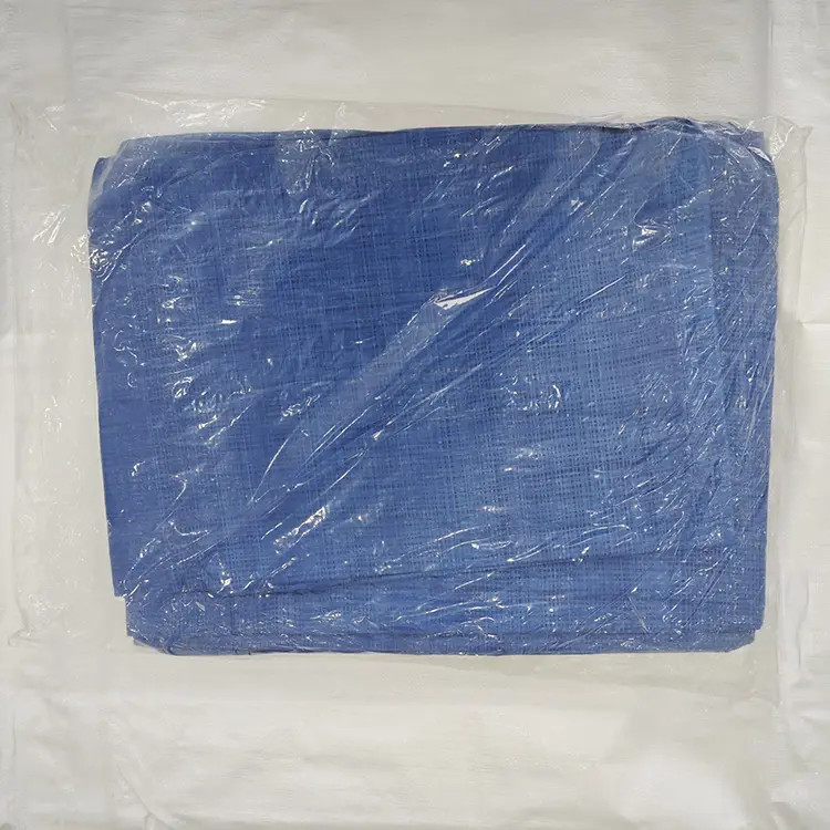 60G Blue Pe Tarpaulin