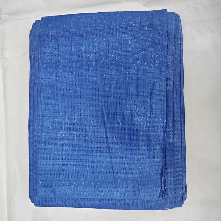 60G Blue Pe Tarpaulin
