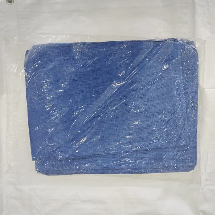 60G Blue Pe Tarpaulin