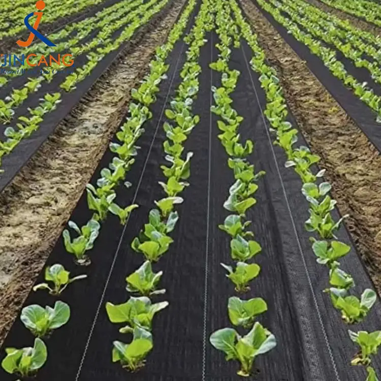 Holdbar ukrudtsmåtte